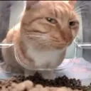 suspicious