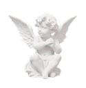 angel custom emote | 𝒞ael's boutique