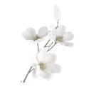 flower custom emote | 𝒞ael's boutique