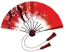 nvnn