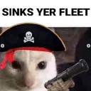 SinksYerFleet SinksYerFleet