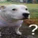 fuckisyougoingonabout