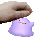 Dit_petpet