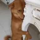 hidden