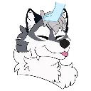 Head_Pets