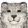 Stare
