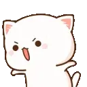 SH_nya_Shouted
