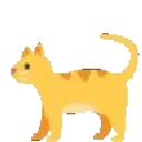 cathop