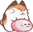 dangokitty