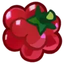Berry