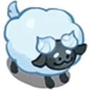 Cream_Sheep