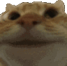 nodders_cat Discord emoji
