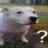 da_wha Discord emoji
