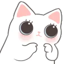 uwucat