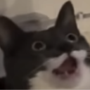 cato custom emote | 20pc Nugget