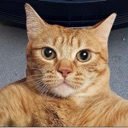 emoji_281 custom emote - 𝙈𝙆丨صـيـانـة | مـنـتـدى الـمـمـلـكـة 🛠