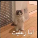 emoji_223 custom emote - 𝙈𝙆丨صـيـانـة | مـنـتـدى الـمـمـلـكـة 🛠