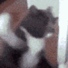 __ animated GIF emoji from 𝙈𝙆丨صـيـانـة | مـنـتـدى الـمـمـلـكـة 🛠