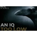 loiq loiq