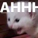 :ahhh: