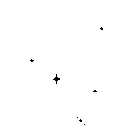 blacksparklies animated Discord emote - Lust Garden18+