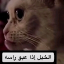 __ Discord sticker from نجوم الشريطي 🌟 | SR
