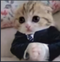 ss_buzikat Discord emoji