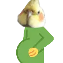 pregedy pregedy