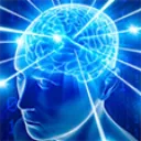 bigbrain