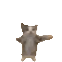 happycat