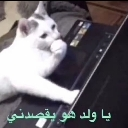 emoji_30 Discord sticker from نجوم الشريطي 🌟 | SR