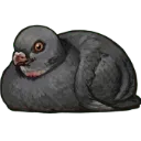 Loaf