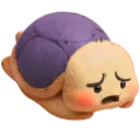 turtle_what