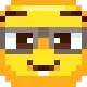 hnew_nerd