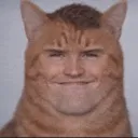 kirki_cat