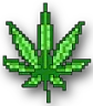 002_weed