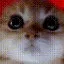 angrycat