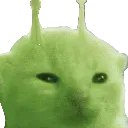 glorp