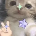 cat_tehee