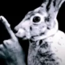bunnysilence bunnysilence