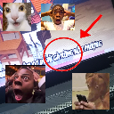 adu_garung Discord Emoji - GIÁO PHÁI GÀ RỪNG