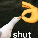 shut