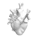 45066gothcarvedheart custom emote - Auryne