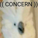 ConcernedCockatoo Discord emoji