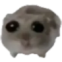 emoji_38