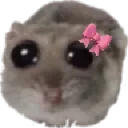 cutestare