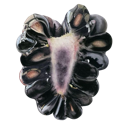 93_berry