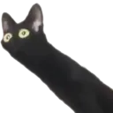 meow_long meow_long