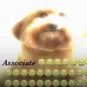 ASSOCIATE