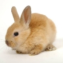 babybnuuy Discord Emoji - Transylvania :3 | Trans Tag